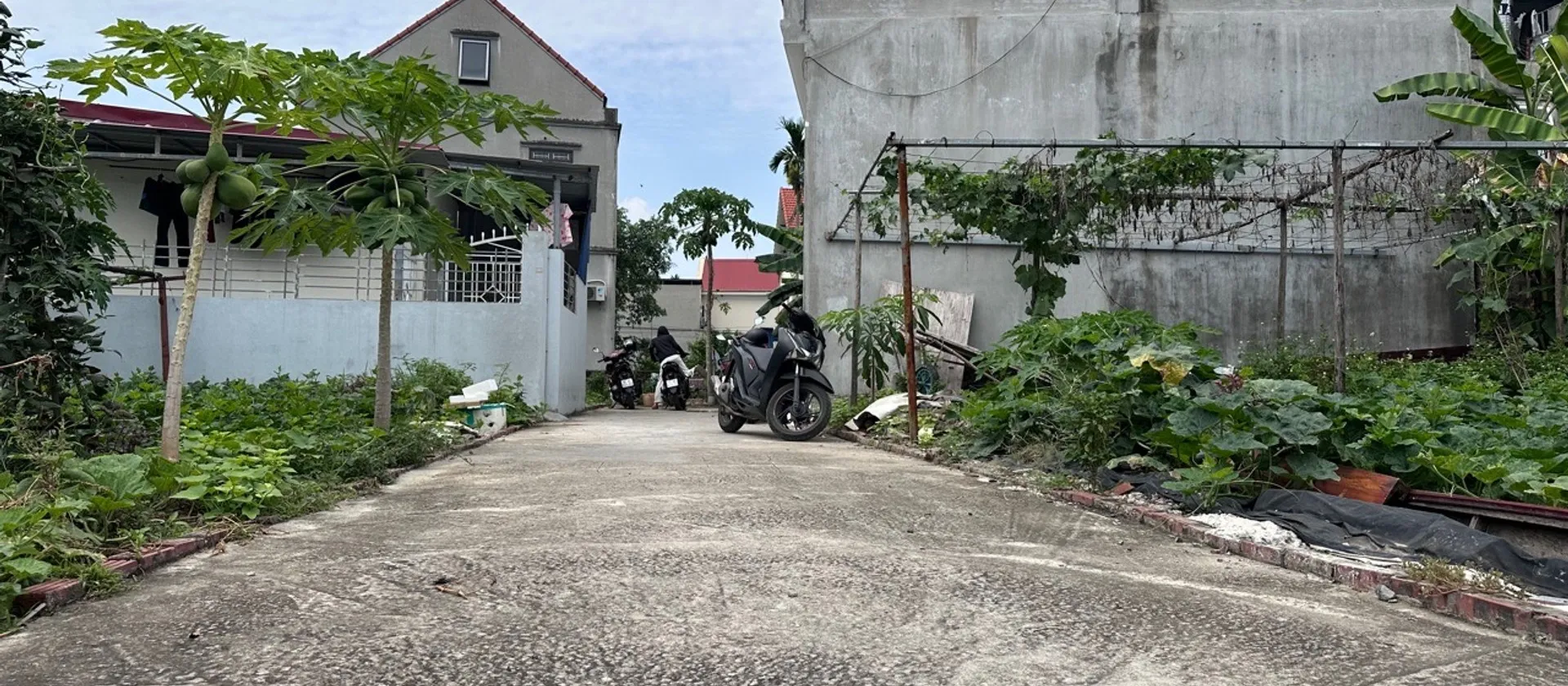 Cơ hội vàng sở hữu đất trung tâm Lâm Động ngay tại Thuỷ Nguyên... Bán đất tại Thủy Nguyên, Hải Phòng 01