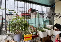 7 Ty-Cơ hội sở hữu nhà riêng vị trí vàng tại trung tâm Hai Bà Trưng... Bán nhà riêng tại Tương Mai, Hà Nội 10
