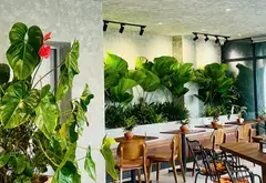 Cơ Hội Sở Hữu Nhà Mặt Phố Lô Góc Vip Tại Bình Hưng Hoà B Với Giá Cực Tốt... Bán nhà mặt phố tại Bình Tân, Hồ Chí Minh 08