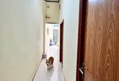 Bán nhà mặt phố 2 tầng tại phường Tân Thành, diện tích 64m2, giá 16 tỷ đồng... Bán nhà mặt phố tại Phú Thọ Hòa, Hồ Chí Minh 04