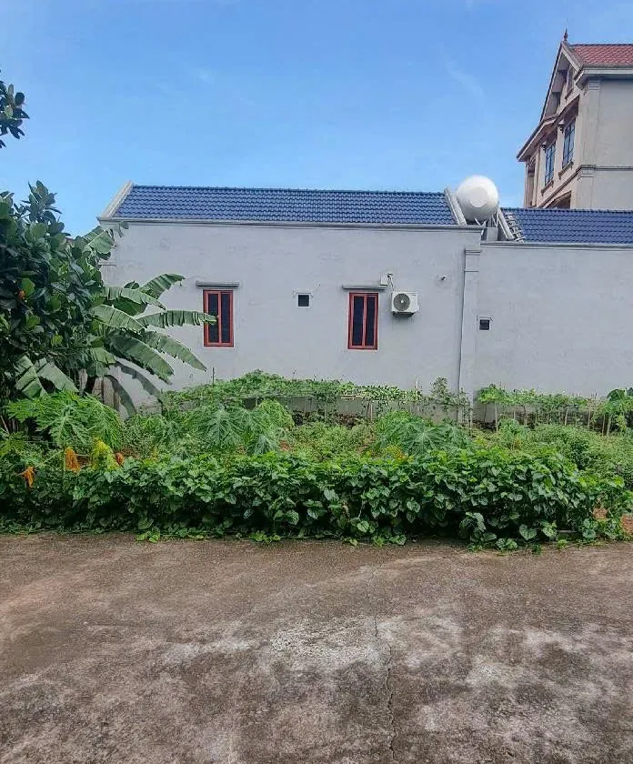 Bán 90m đất chính chủ tại Phượng Trì Tân Tiến Văn Giang Hưng Yên... Bán đất tại Tân Tiến, Hưng Yên 01