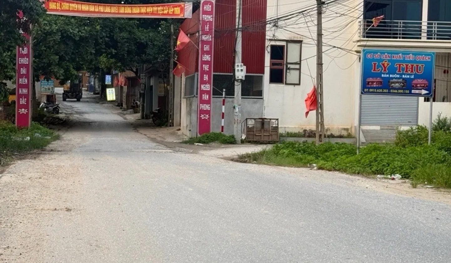 Đất Phân Lô Siêu Tiện Lợi 84m2 Tại Phù Lãng, Bắc Ninh... Bán đất tại Phù Lãng, Bắc Ninh 01