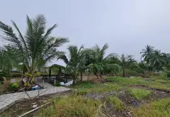 Bán đất mặt tiền đường ĐT 830 xã Bình Lợi, Bến Lức, Long An, diện tích 7900 m2... Bán partner tại Tân Tạo, Hồ Chí Minh 09