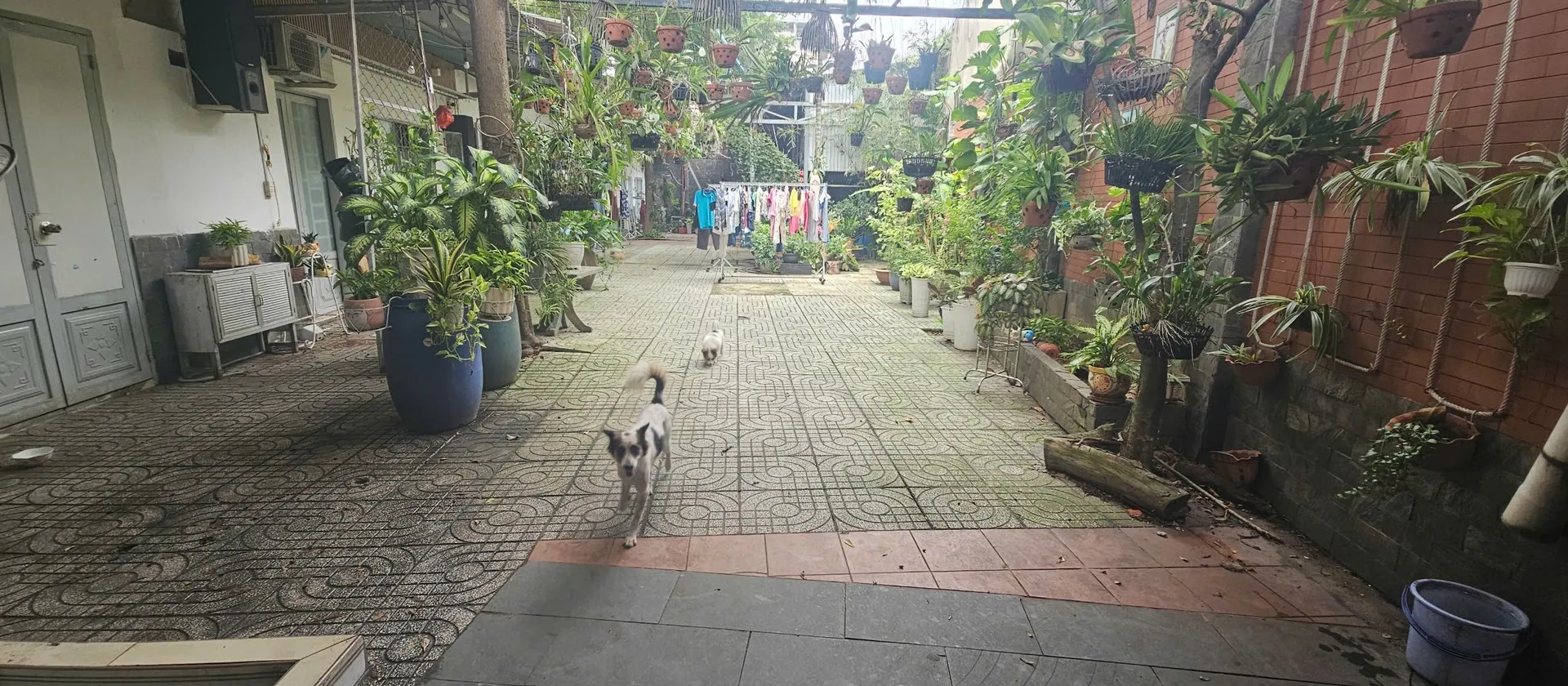 Bán nhà mặt phố Phường An Hội Đông, Hồ Chí Minh diện tích lớn tiện kinh doanh... Bán nhà mặt phố tại An Hội Đông, Hồ Chí Minh 01