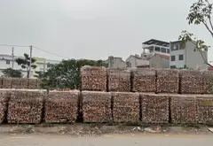 Đầu tư ngay! Đất vàng Đông Tảo Hưng Yên chờ chủ mới 🌟... Bán đất tại Hoàn Long, Hưng Yên 03