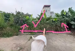 Đất thổ cư 125m2 ô tô vào nhà, vị trí vàng Văn Giang... Bán đất tại Văn Giang, Hưng Yên 01