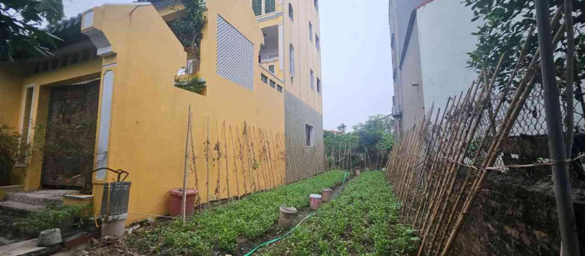 Lô đất vàng gần KĐT Aluvia, mặt tiền rộng, đầu tư cực phẩm... Bán đất tại Văn Giang, Hưng Yên 01