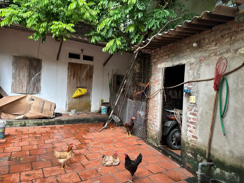 CHỦ CẦN BÁN GẤP NHÀ CẤP 4 CŨ ĐƯỜNG THÔNG Ô TÔ VÀO ĐẤT NHỈNH 4 TỶ... Bán nhà riêng tại Đông Anh, Hà Nội 01