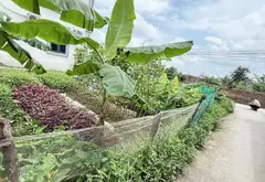 Lô Đất Hấp Dẫn Tại Xích Thổ - Ngõ Thông, Ô Tô Vào Tận Nơi... Bán đất tại An Hải, Hải Phòng 07