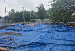 Bán đất 1300m² xã Vĩnh Lộc, Hồ Chí Minh, mặt tiền rộng, pháp lý cơ sở... Bán đất tại Vĩnh Lộc, Hồ Chí Minh 02