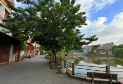 Cơ Hội Sở Hữu Đất Vàng 52.5m2 Tại Nghĩa Lập, Phù Khê, Bắc Ninh... Bán đất tại Phù Khê, Bắc Ninh 06