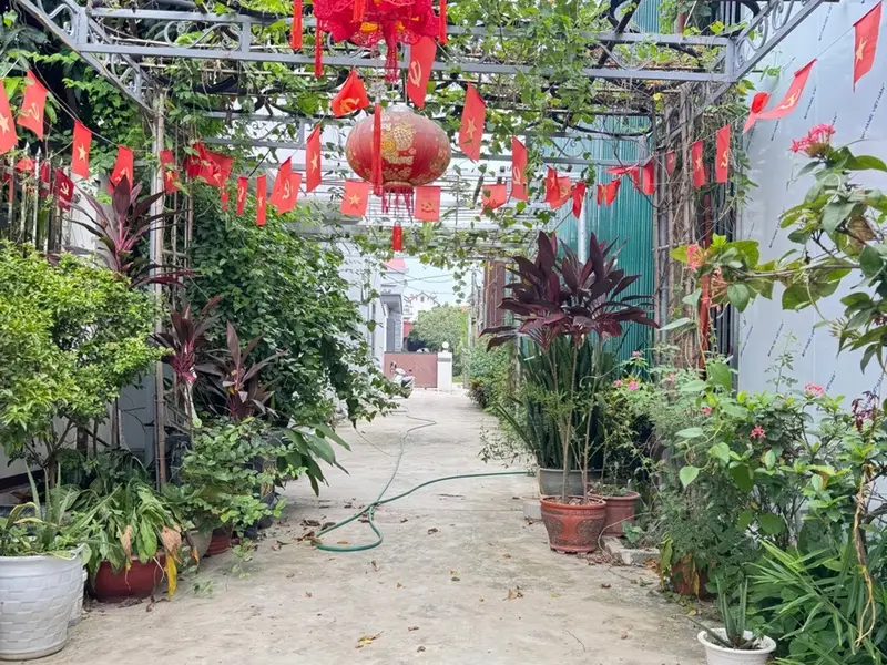 Đất Dược Hạ Tiên Dược Sóc Sơn 319m² – mặt tiền 16,2m – nhỉnh 15 triệu/m²... Bán đất tại Sóc Sơn, Hà Nội 01