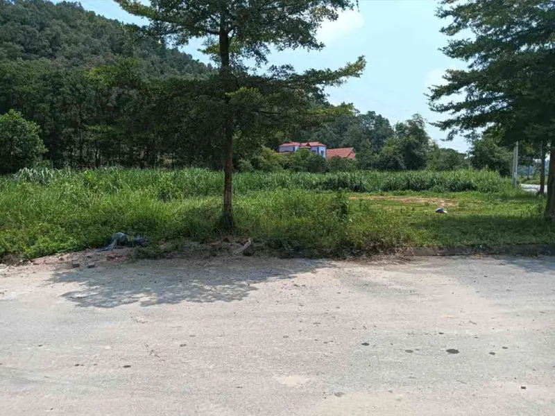 Bán đất thổ cư 119,5m2 tại xã Trung Giã, Hà Nội, mặt tiền 6m phù hợp kinh doanh... Bán đất tại Trung Giã, Hà Nội 01