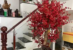 Cơ hội hiếm nhà 3 tầng mặt tiền hẻm kinh doanh Nguyễn Bặc, giá chỉ 8.35 tỷ... Bán owner_side tại Tân Sơn Hòa, Hồ Chí Minh 01
