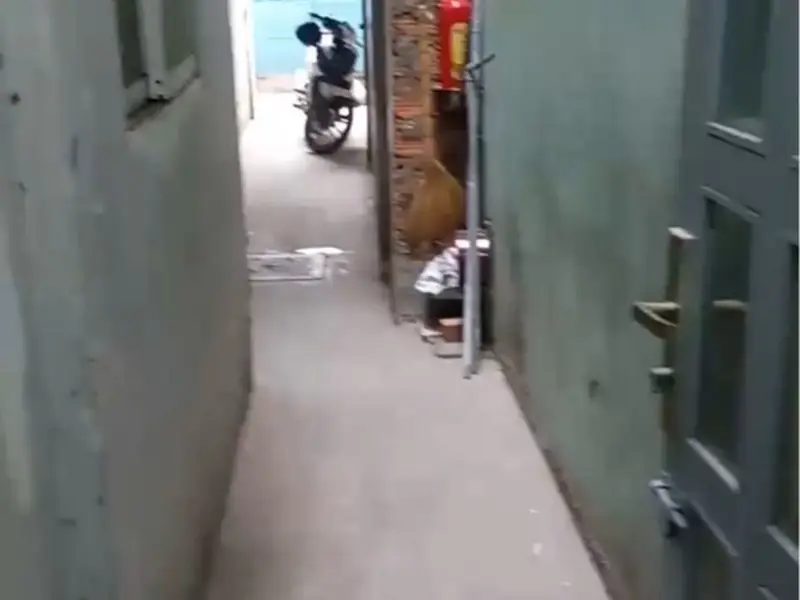 Cơ hội hiếm có mua nhà riêng giá tốt gần Nhiêu Lộc, TPHCM... Bán nhà riêng tại Nhiêu Lộc, Hồ Chí Minh 01