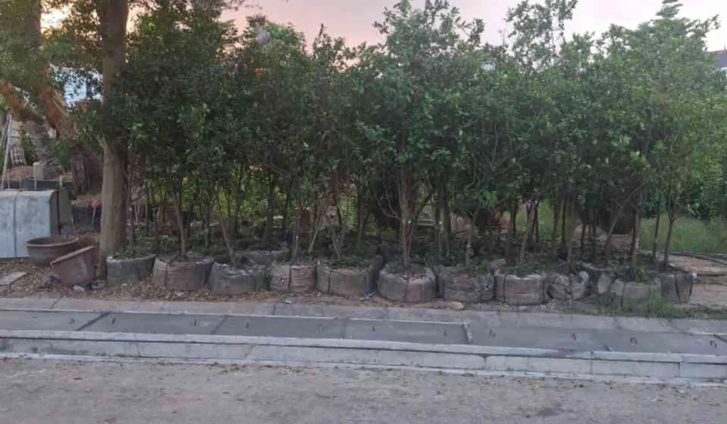 Cơ hội sở hữu lô góc đất 3 mặt thoáng tại Văn Giang, Hưng Yên cực hiếm... Bán đất tại Văn Giang, Hưng Yên 01