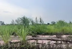 🔥🔥MẢNH ĐẤT TĐC VUÔNG NHƯ TỜ A4 - PHÂN LÔ VỈA HÈ, HAI MẶT THOÁNG - GIÁ ĐẦU TƯ🔥🔥

💥💥Mô tả:Mảnh... Bán đất tại Khoái Châu, Hưng Yên 01