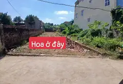 Cơ hội hiếm có sở hữu đất Phù Mã Sóc Sơn, tiện ích xung quanh thuận tiện... Bán owner_side tại Sóc Sơn, Hà Nội 01