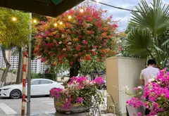 Bán biệt thự liền kề lô góc 3 mặt thoáng tại Hà Đông, diện tích 160 m2, mặt tiền 10 m... Bán biệt thự, liền kề tại An Khánh, Hà Nội 04