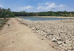Bán đất 11.000m2 xã Hiệp Phước Nhà Bè giá 55 tỷ... Bán đất tại Hiệp Phước, Hồ Chí Minh 03