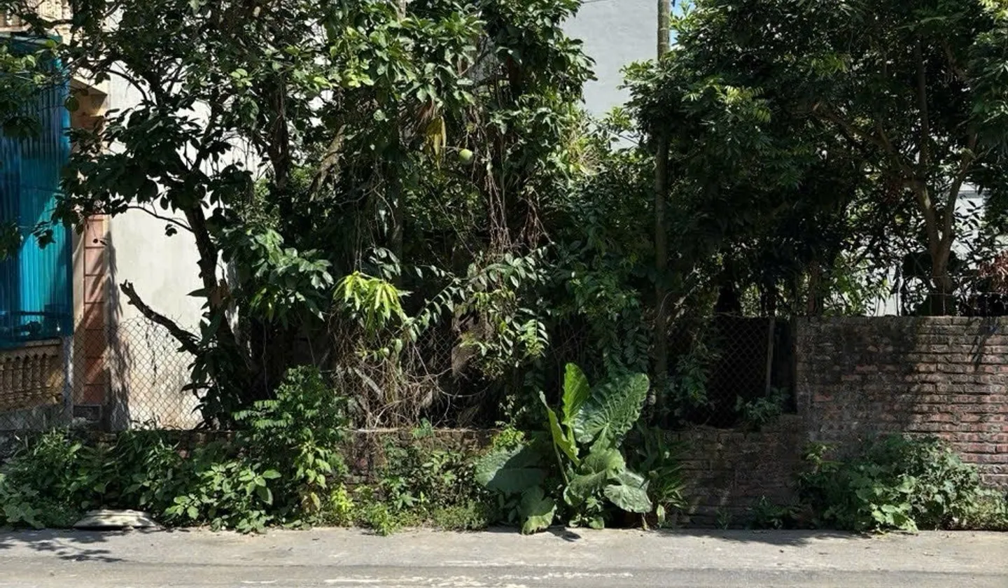 ĐẤT BÌA LÀNG NAM HỒNG – 109M² FULL THỔ CƯ – MẶT TIỀN 7,4M – ĐƯỜNG 3 Ô TÔ... Bán đất tại Phúc Thịnh, Hà Nội 01