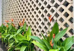 Nhà 3 tầng 80m2, diện tích ngang 6m, tiềm năng tăng giá cao tại Nguyễn Đình Chính, Phú Nhuận.... Bán nhà riêng tại Phú Nhuận, Hồ Chí Minh 08