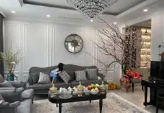 Biệt thự đẳng cấp tại Bồ Đề, Long Biên - Kiệt tác kiến trúc Châu Âu giữa lòng Hà Nội... Bán partner tại Bồ Đề, Hà Nội 02