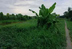 Cơ Hội Vàng Sở Hữu Nhà Mặt Phố Mặt Tiền Rộng Ấp 2 Bình Chánh... Bán nhà mặt phố tại Bình Chánh, Hồ Chí Minh 05