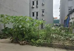 Đất Vàng Ngọc Thụy - Cơ Hội Hiếm Có Tại Long Biên... Bán đất tại Bồ Đề, Hà Nội 08