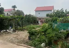 Bán đất thôn Mai Đoài xã Sóc Sơn ô tô vào, sổ chính chủ... Bán đất tại Sóc Sơn, Hà Nội 04