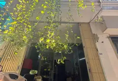 🔥 NHÀ 2 TẦNG | 2PN | SỔ HỒNG RIÊNG | CHỈ 2,65 TỶ... Bán nhà riêng tại Tân Thới Hiệp, Hồ Chí Minh 01