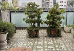 🏡 MẶT PHỐ VỈA HÈ KINH DOANH ĐỈNH - 6 TẦNG THANG MÁY - VIEW SÔNG - VỪA Ở VỪA CHO THUÊ... Bán nhà mặt phố tại Định Công, Hà Nội 16