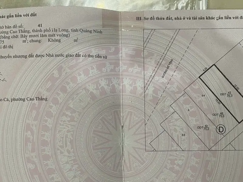 🔴 ĐẤT KHU BÒ SÍNH – CAO THẮNG | TRUNG TÂM HẠ LONG... Bán đất tại Hà Lầm, Quảng Ninh 01