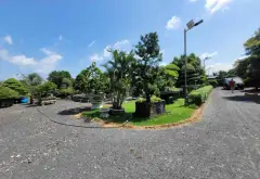 Đất Vườn Mặt Tiền Đường Tân Long Bình Chánh, Rộng 7800m2... Bán đất tại Tân Nhựt, Hồ Chí Minh 12