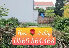 Đất Sóc Sơn giá hời, dễ đầu tư, sẵn sàng sở hữu... Bán đất tại Sóc Sơn, Hà Nội 04