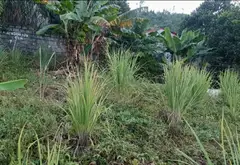 Bán đất 80m2, Ngõ 5 Tân Lập, phường Hà Lầm, Quảng Ninh, ô Tô, hướng nam phù hợp xây nhà ở... Bán đất tại Hà Lầm, Quảng Ninh 02