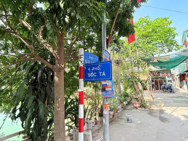 💥Cơ Hội Sở Hữu Đất Vị Trí Đẹp Tại Sóc Tá - Từ Sơn, Giá Tốt Hiếm Có... Bán đất tại Từ Sơn, Bắc Ninh 01