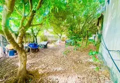 Đất nền view hồ xanh mát tại Thường Tín, Hà Nội... Bán đất tại Thường Tín, Hà Nội 05