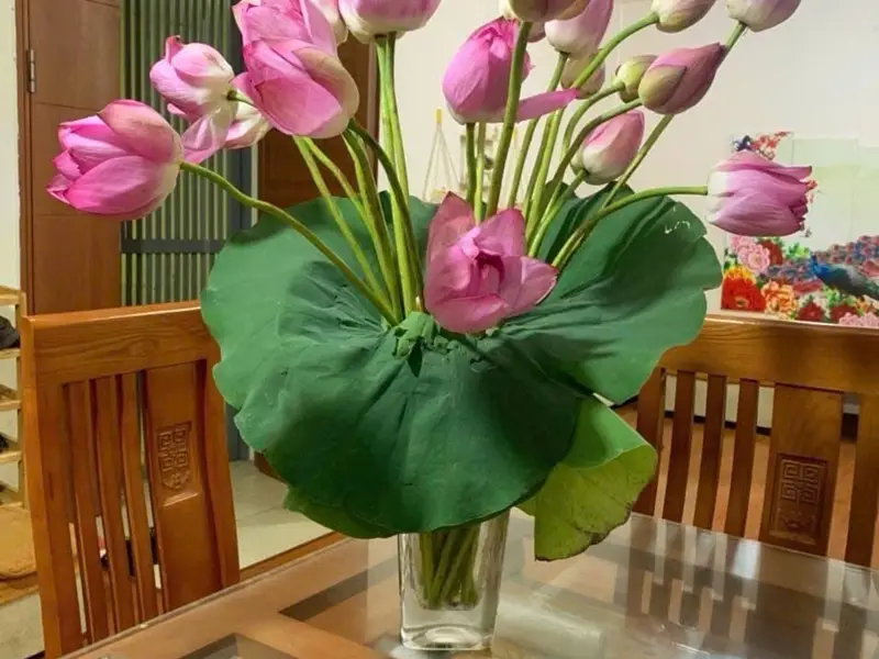 Bán gấp trung cư bộ quốc phòng 64m2 -- 2 ngủ-- giá hơn 3 tỉ ( thương lượng sâu).... Bán căn hộ chung cư tại Tây Tựu, Hà Nội 01