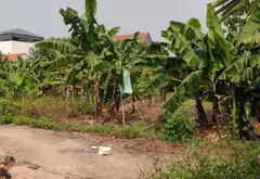 Đất Thổ Cư Vuông Vắn Tại Thôn Đan Kim, Văn Giang... Bán đất tại Văn Giang, Hưng Yên 05