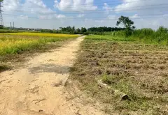 Bán đất xã Hiệp Hòa, Bắc Ninh, diện tích 76.8m² pháp lý rõ ràng, đường ô tô qua đất... Bán đất tại Hiệp Hòa, Bắc Ninh 04