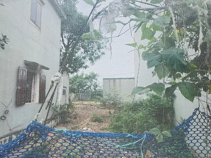 Đất siêu đẹp Cổ Loa giá cực tốt, gần Vinhomes... Bán đất tại Đông Anh, Hà Nội 01
