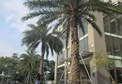 Căn hộ cao cấp view công viên tại UDIC Westlake Phú Thượng... Bán căn hộ chung cư tại Phú Thượng, Hà Nội 13