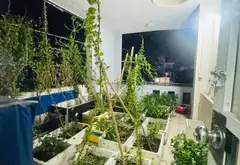 Bán nhà mặt phố 4 tầng Tân Sơn Nhì, giá 8.5 tỷ thương lượng... Bán nhà mặt phố tại Tân Sơn Nhì, Hồ Chí Minh 11