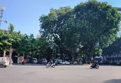 Nhà Ngõ Sơn Tây Trung Tâm Ba Đình - Tiện Đi Lại, Giá Hợp Lý... Bán nhà riêng tại Ba Đình, Hà Nội 07