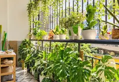 Căn hộ 2 phòng tại Phường Diên Hồng, không gian rộng rãi giá cực tốt... Bán căn hộ chung cư tại Diên Hồng, Hồ Chí Minh 04