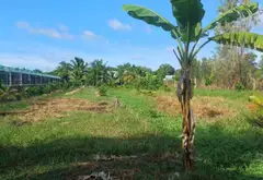 Bán đất rộng 5046m², mặt tiền 24m tại xã vùng ven... Bán đất tại Bình Lợi, Hồ Chí Minh 09