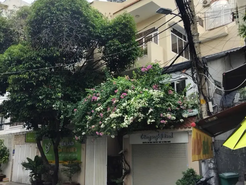Nhà mặt phố K300 diện tích rộng, giá tốt tại Sài Gòn... Bán nhà mặt phố tại Bảy Hiền, Hồ Chí Minh 01