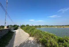 Cơ hội sở hữu quỹ đất gần 1,8 ha tại TDP Đẩu Sơn, Phù Liễn, Kiến An... Bán đất tại Kiến An, Hải Phòng 05