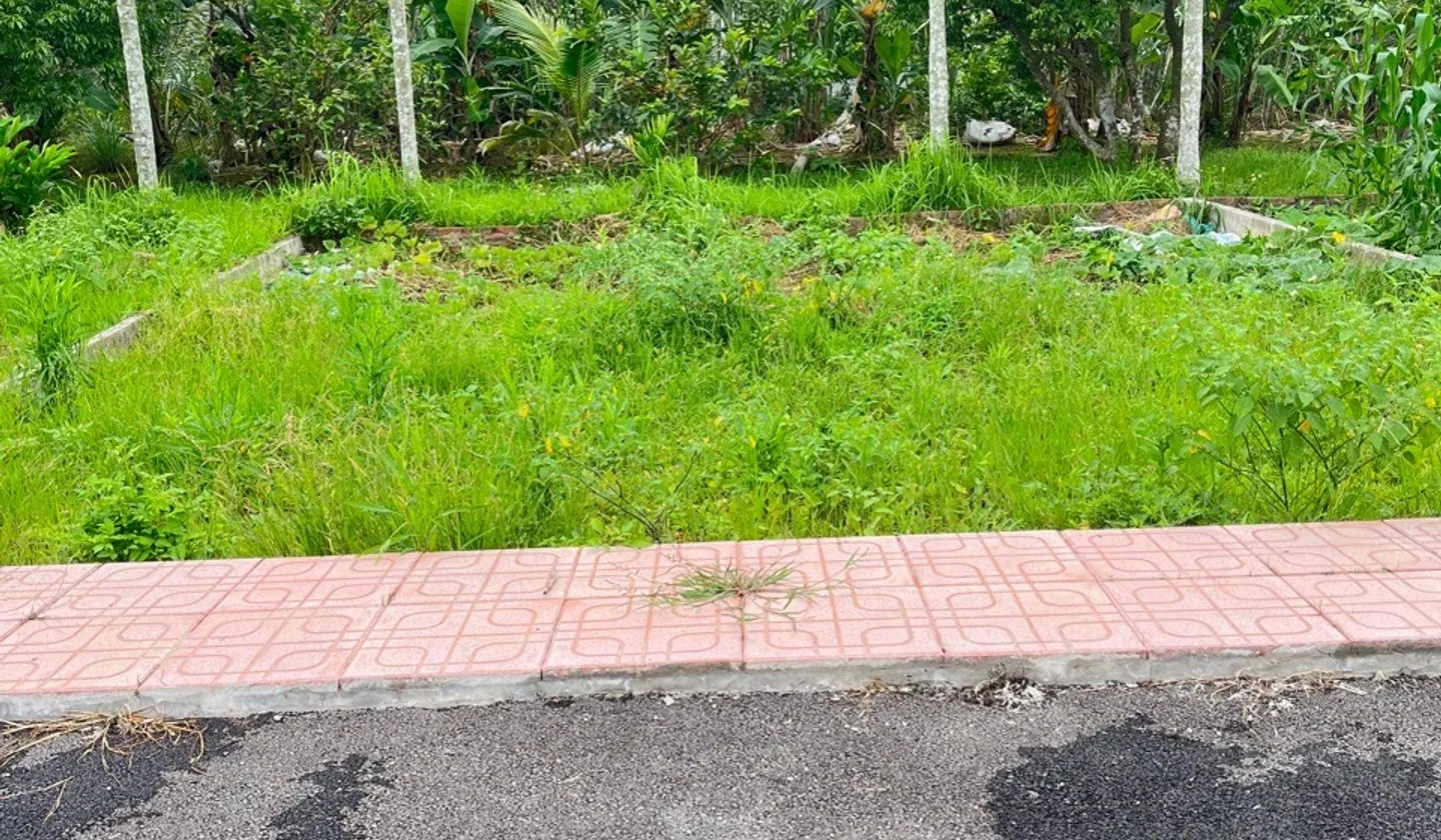 Cơ hội hiếm có đất Thổ cư sát KCN Tràng Duệ 3, giá đầu tư tuyệt vời... Bán đất tại An Trường, Hải Phòng 01